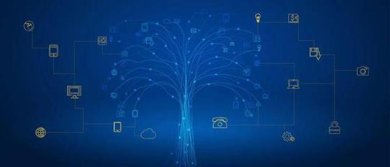 重磅發布！內江高校網絡工程專業全景解析 從課程體系到就業藍圖